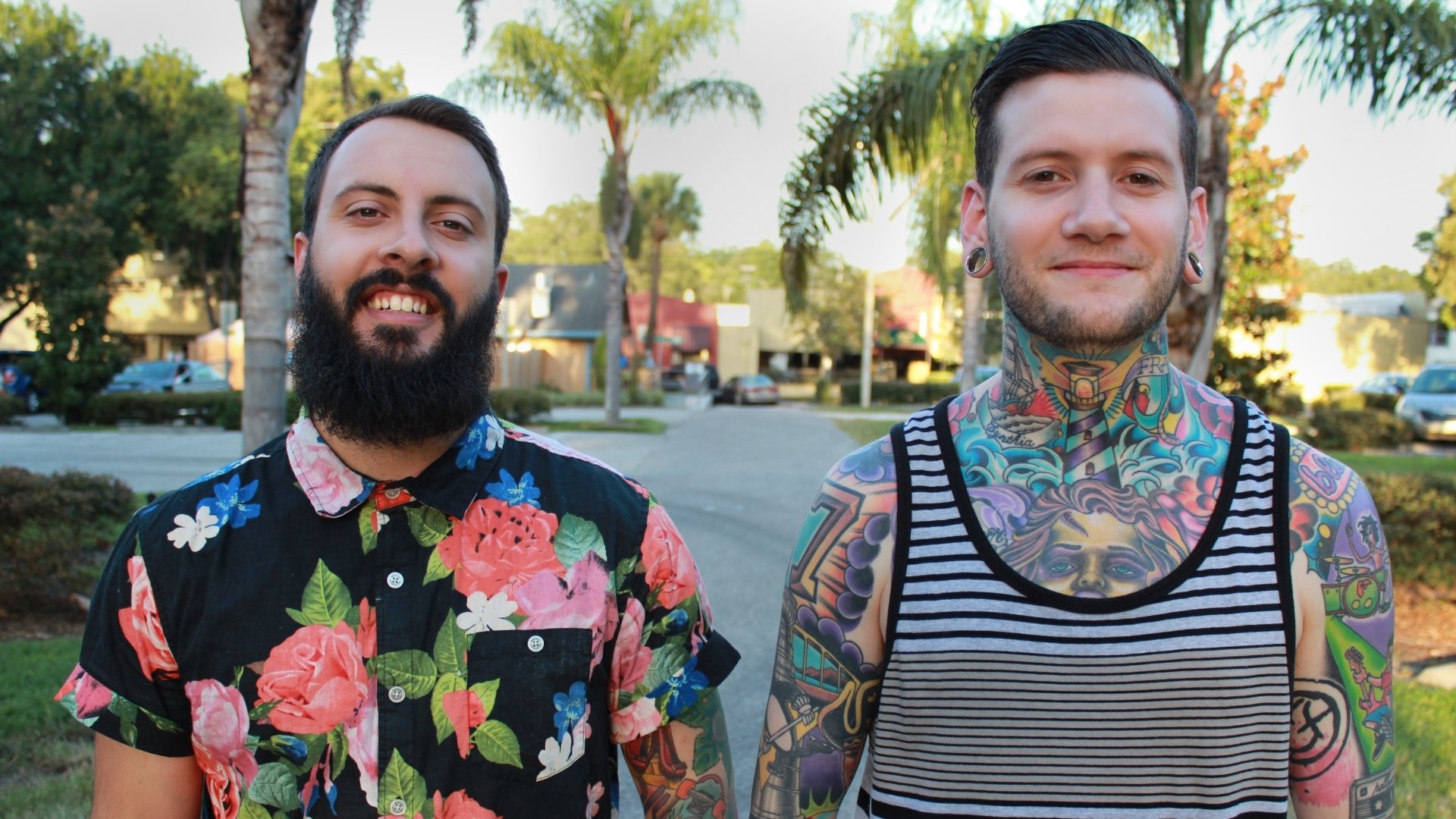 Download Music Wildlife HD Wallpaper