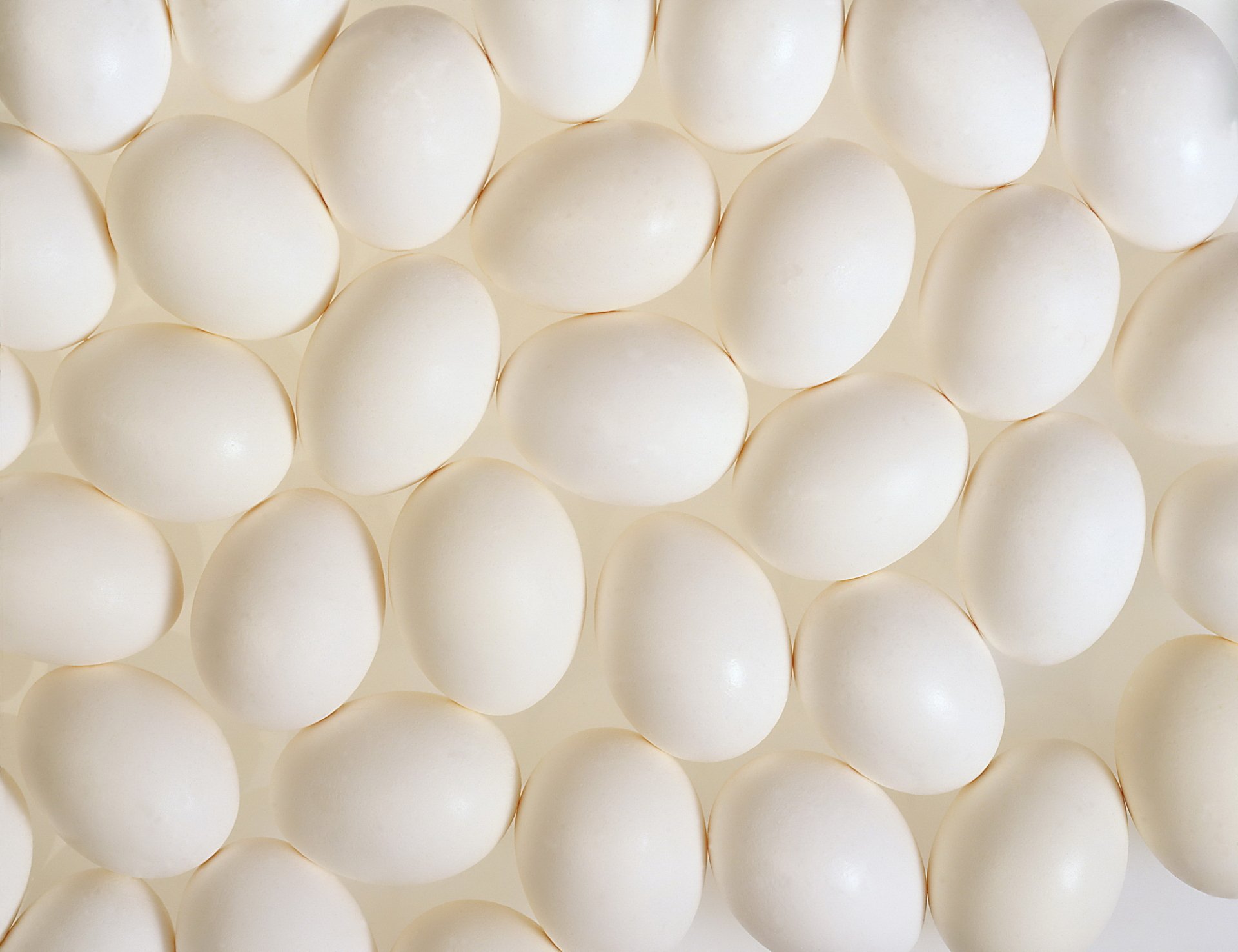 Download Food Egg HD Wallpaper