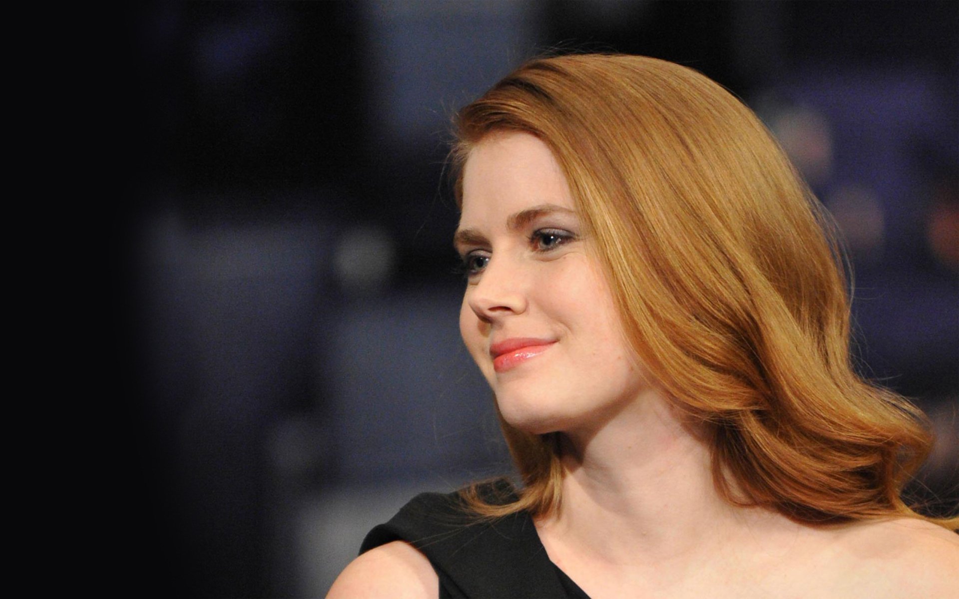 HD desktop wallpaper featuring celebrity Amy Adams with soft lighting and a blurred background.