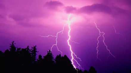HD desktop wallpaper featuring striking lightning bolts illuminating a purple sky above silhouetted trees, showcasing dynamic photography of a nighttime storm.