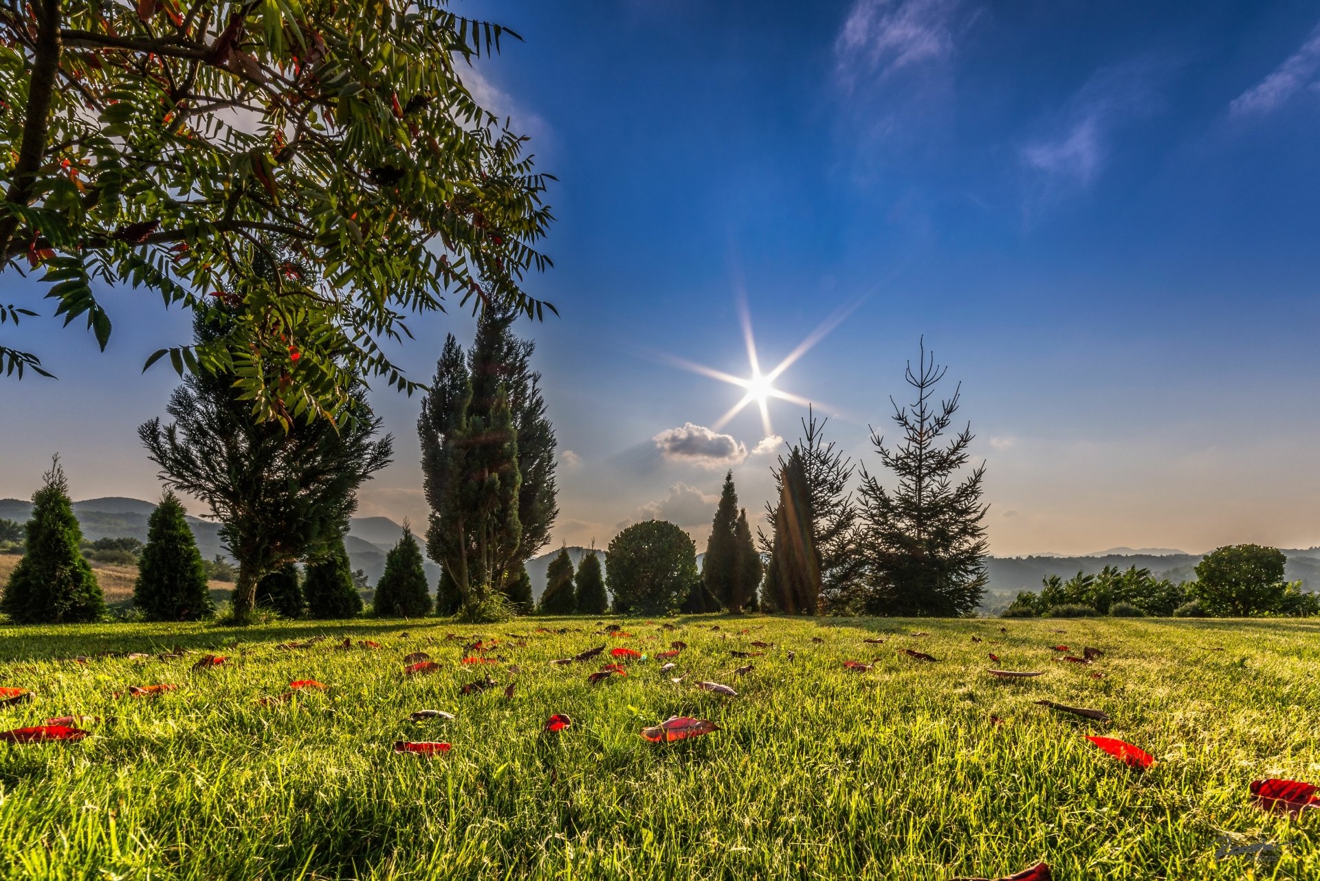 4K Ultra HD nature scene capturing a vibrant fall landscape with green grass, scattered red leaves, tall trees, and a bright sun against a clear blue sky.