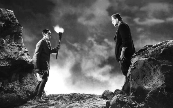 franenstein movie Frankenstein (1931) HD Desktop Wallpaper | Background Image