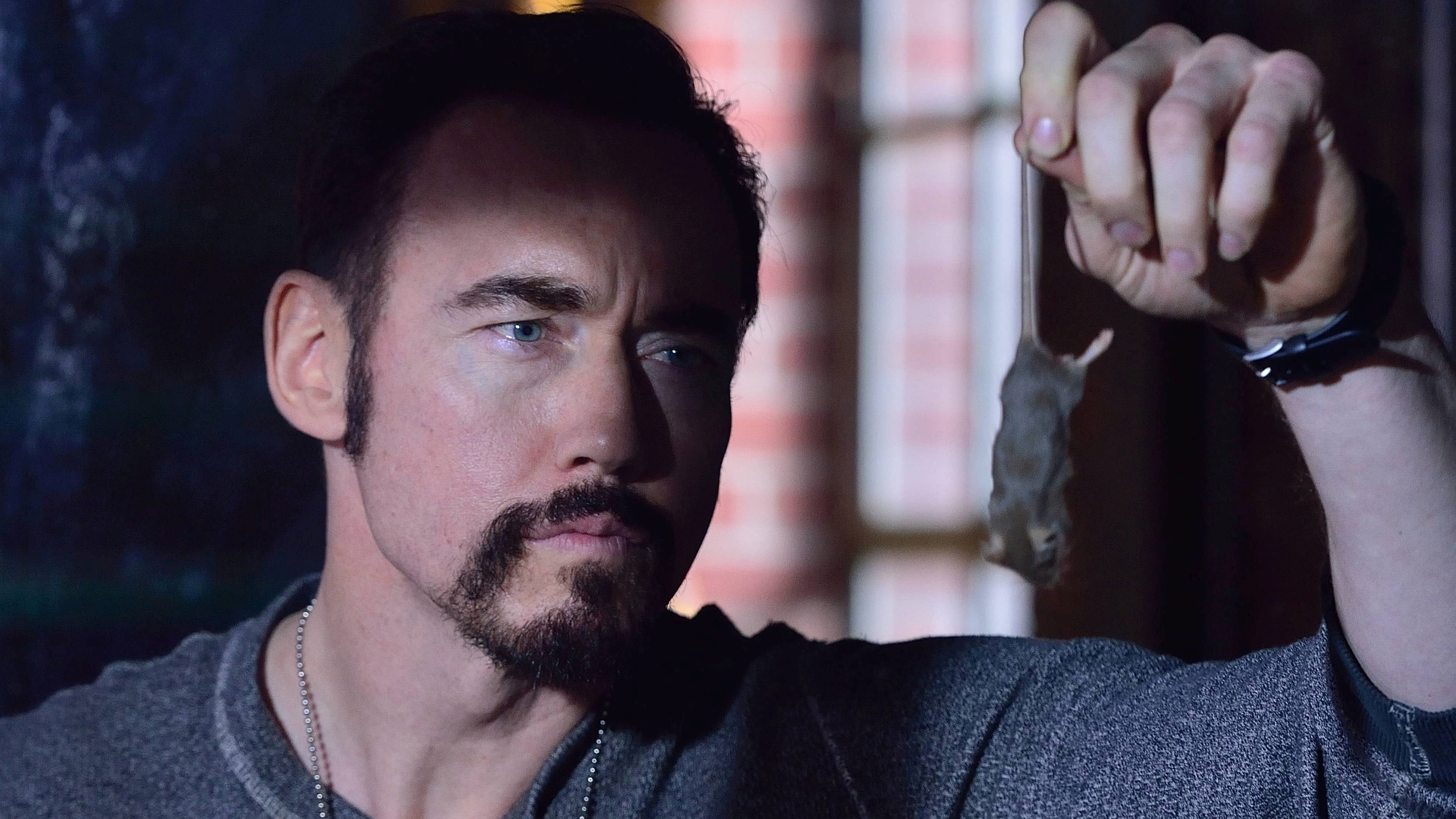 Strain Show TV Show The Strain HD Wallpaper