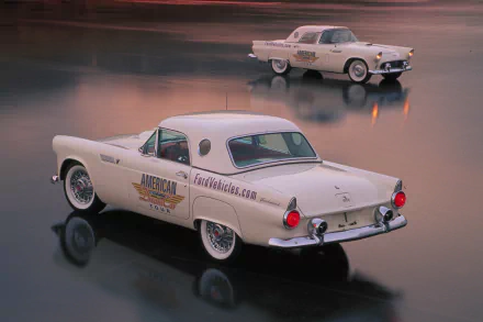 HD PC desktop wallpaper/background showing two cream Ford Thunderbird vehicles reflected on a glossy wet surface at dusk, vintage cars in soft, moody lighting.