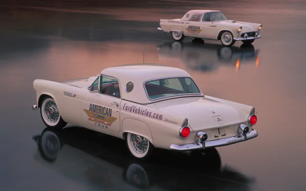 HD PC desktop wallpaper/background showing two cream Ford Thunderbird vehicles reflected on a glossy wet surface at dusk, vintage cars in soft, moody lighting.