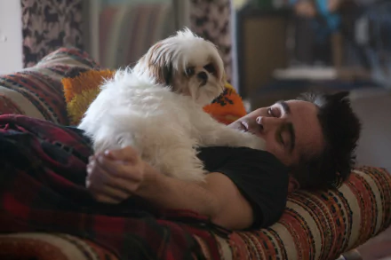 Marty (Seven Psychopaths) Colin Farrell movie Seven Psychopaths HD Desktop Wallpaper | Background Image