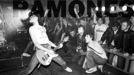 The Ramones - Desktop Wallpapers, Phone Wallpaper, PFP, Gifs, and More!