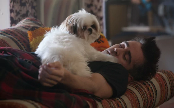 Marty (Seven Psychopaths) Colin Farrell movie Seven Psychopaths HD Desktop Wallpaper | Background Image