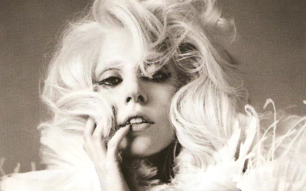 music Lady Gaga HD Desktop Wallpaper | Background Image