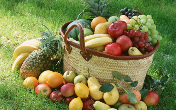  Fruit Basket