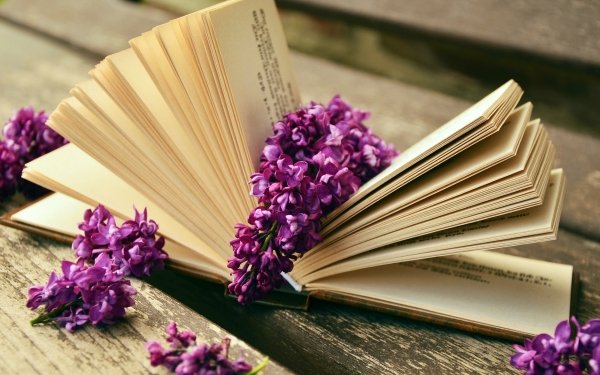 Man Made Book Lilac Flower Still Life HD Wallpaper | Background Image