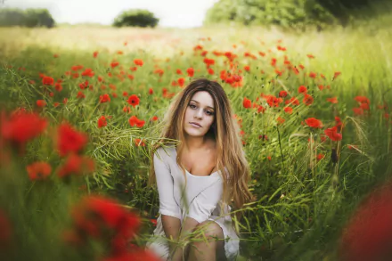 Blonde model with brown eyes kneeling in a poppy field, red flowers and soft bokeh around her — moody HD desktop wallpaper.