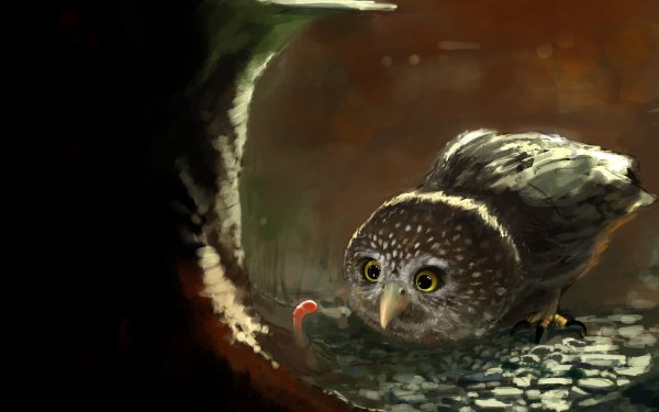 Fantasy Owl Fantasy Animals Bird Worm HD Wallpaper | Background Image