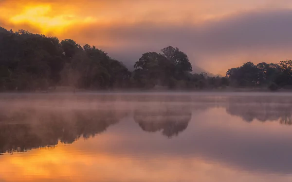 nature fog HD Desktop Wallpaper | Background Image