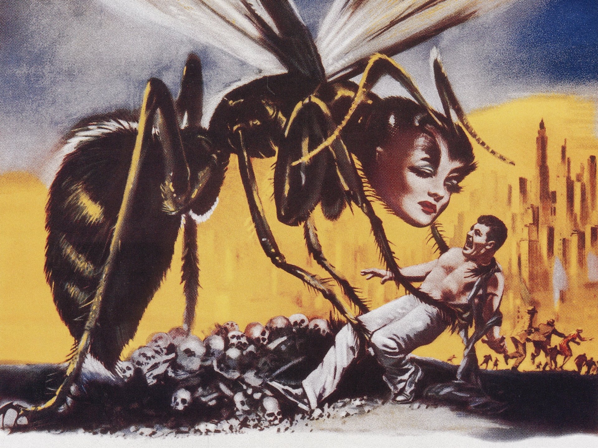 Download Movie The Wasp Woman HD Wallpaper