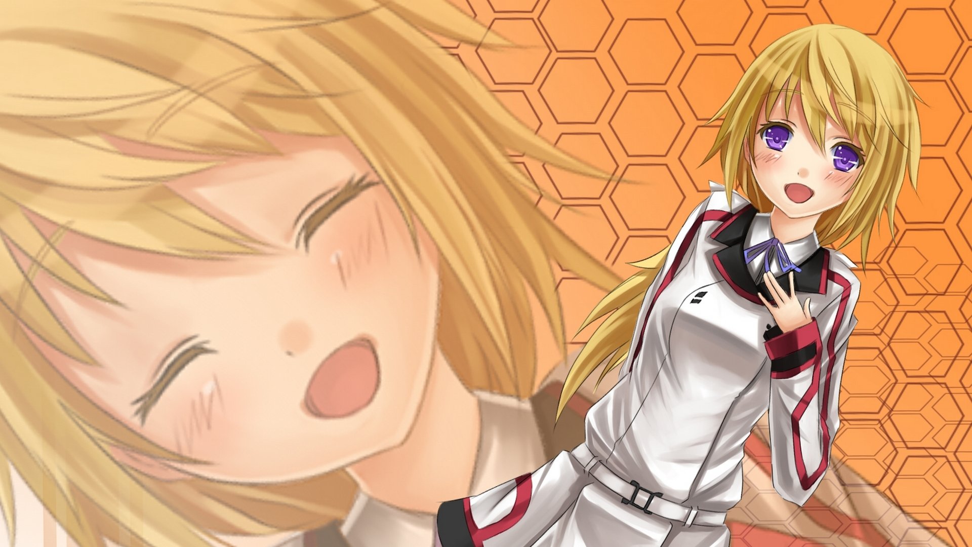 Download Anime Infinite Stratos HD Wallpaper