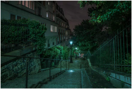 Night view of a quiet Montmartre street in Paris, featuring stone stairs illuminated by a glowing lamp post surrounded by greenery, captured in 4K Ultra HD.