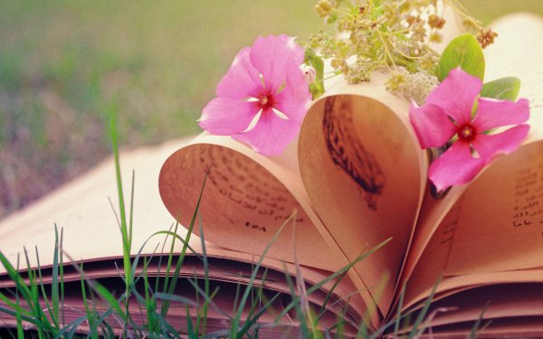 Man Made Book Flower Close-Up HD Wallpaper | Background Image