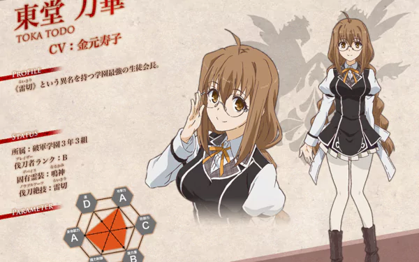 HD PC desktop wallpaper featuring Tohka Todo from the anime Chivalry of a Failed Knight, showcasing her character design and profile details.