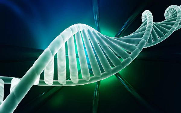 artistic DNA Structure HD Desktop Wallpaper | Background Image