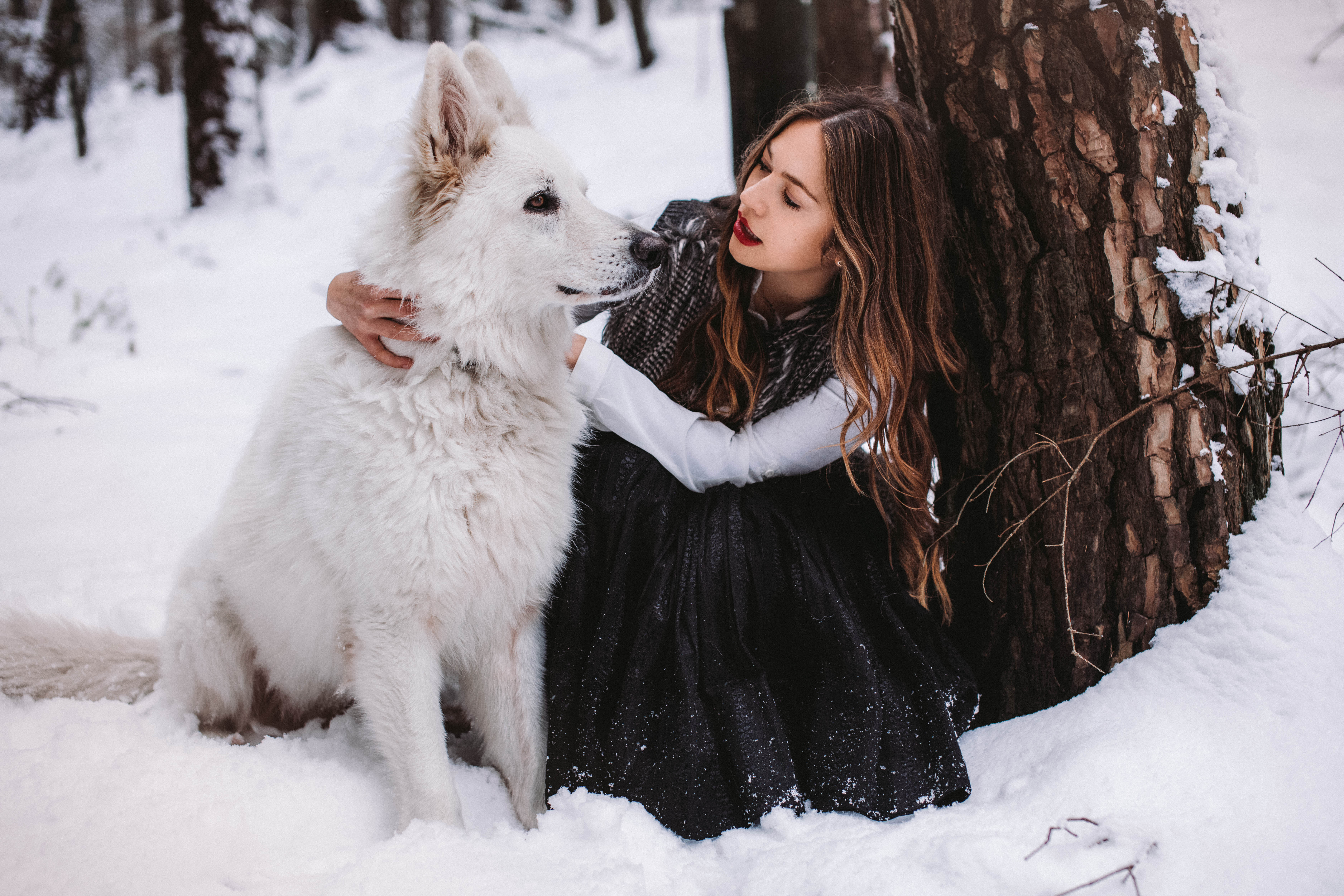 Фотосессия с животными. Девушка с собакой зимой. Фотосессия с собакой зимой. Красивая девушка с собакой. Девушка с белой собакой.