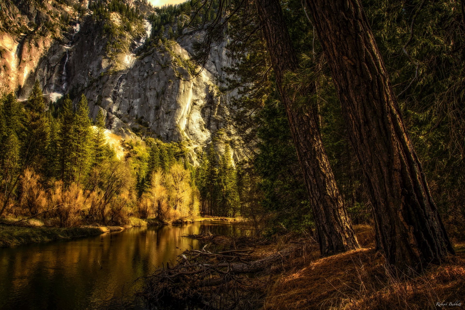 A serene view of Yosemite National Park showcasing a tranquil river bordered by towering cliffs and vibrant trees, capturing the beauty of California's natural landscape.
