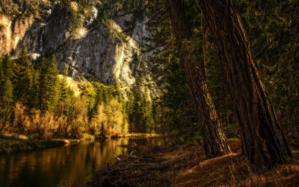 A serene view of Yosemite National Park showcasing a tranquil river bordered by towering cliffs and vibrant trees, capturing the beauty of California's natural landscape.