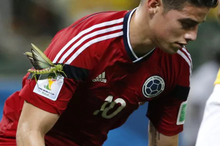 James Rodriguez soccer Sports HD Desktop Wallpaper | Background Image
