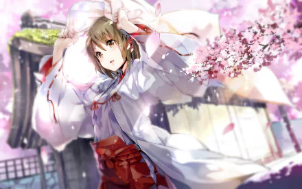 HD PC desktop wallpaper featuring an anime character from Destiny of the Shrine Maiden, dressed in traditional shrine attire amid cherry blossoms and a serene background.