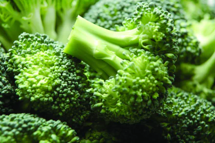 food broccoli HD Desktop Wallpaper | Background Image