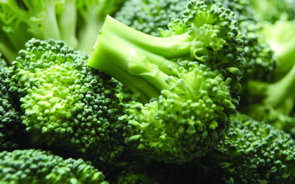 food broccoli HD Desktop Wallpaper | Background Image