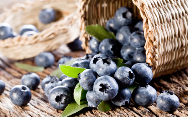 food blueberry HD Desktop Wallpaper | Background Image