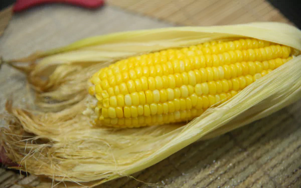 food corn HD Desktop Wallpaper | Background Image