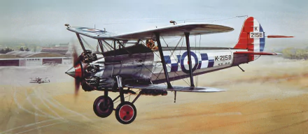  Bristol Bulldog by Roy Cross