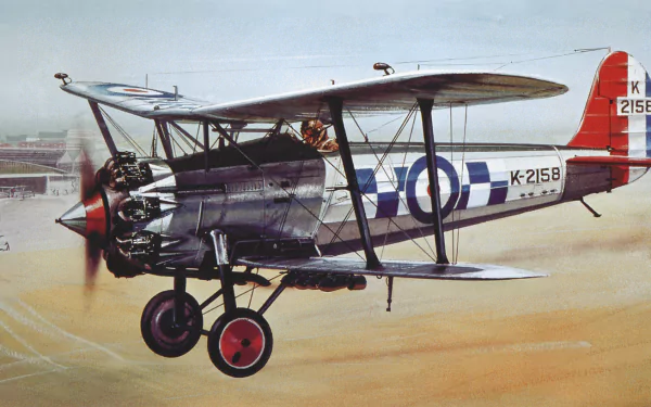  Bristol Bulldog by Roy Cross