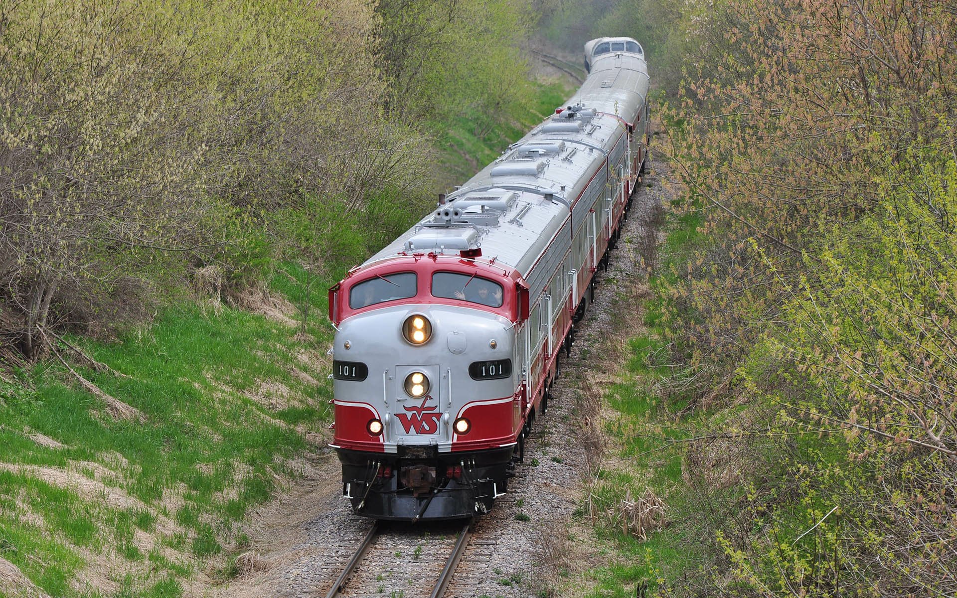 Front view of a vintage red-and-silver train (vehicle) traveling along a tree-lined track in spring — HD PC desktop wallpaper and background