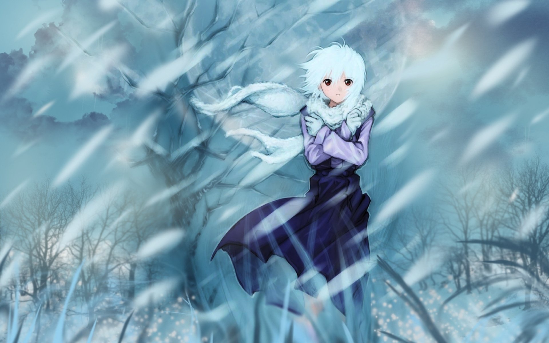 Rei Ayanami — Winter's Echo (Neon Genesis Evangelion HD Wallpaper)