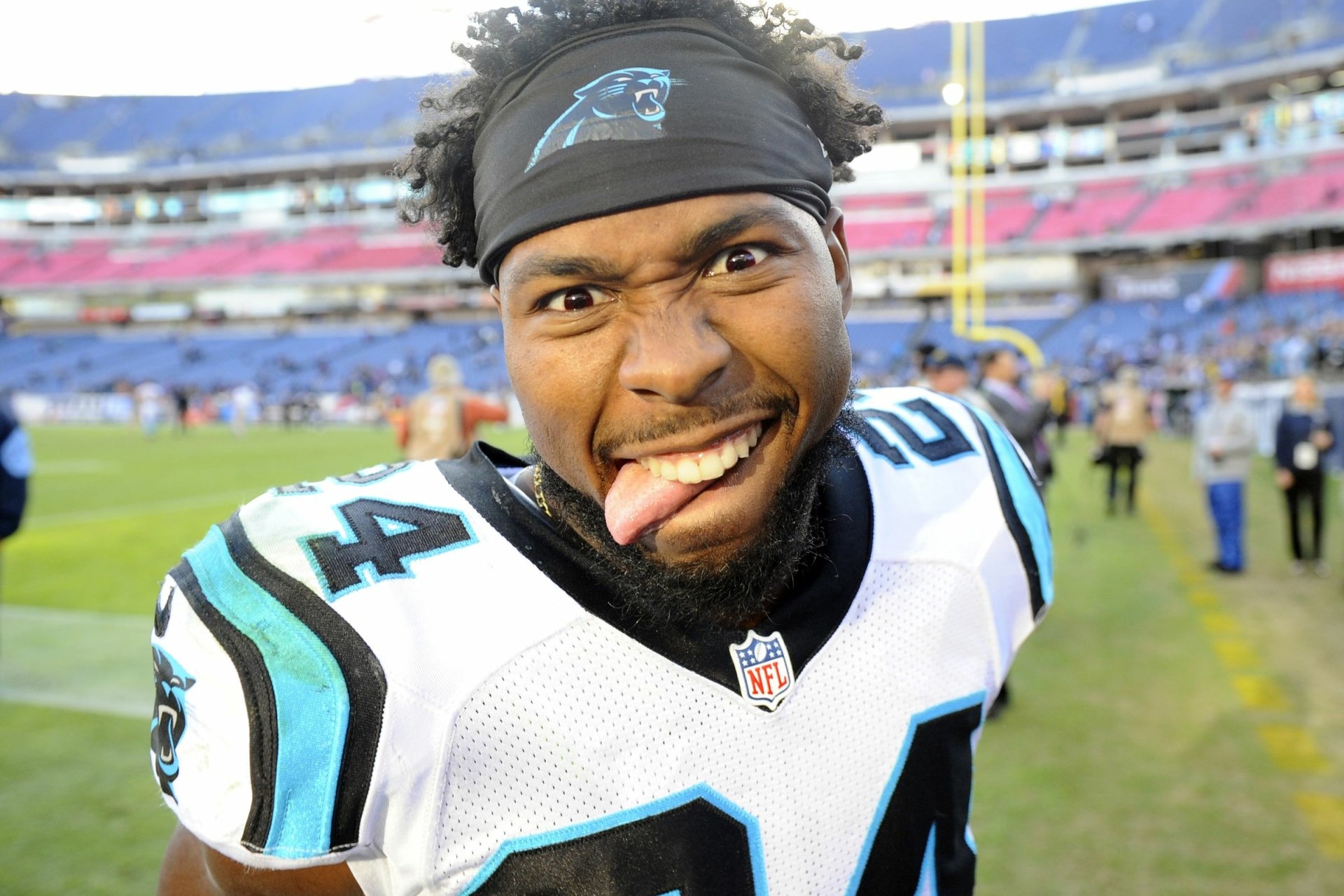 Download Carolina Panthers Sports HD Wallpaper