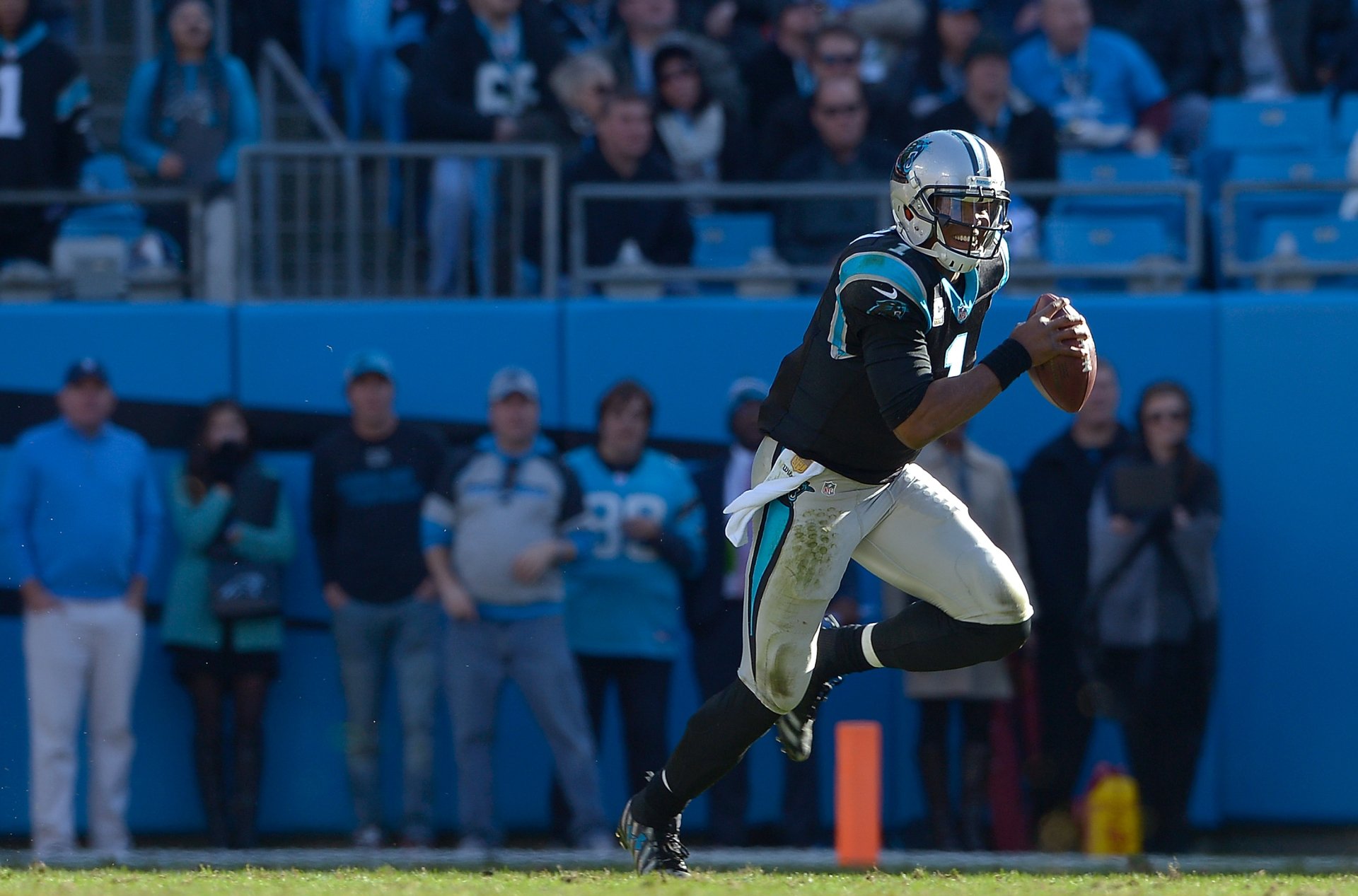 Download Carolina Panthers Sports HD Wallpaper