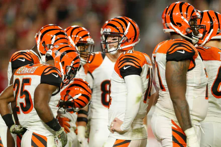 Cincinnati Bengals Sports HD Desktop Wallpaper | Background Image