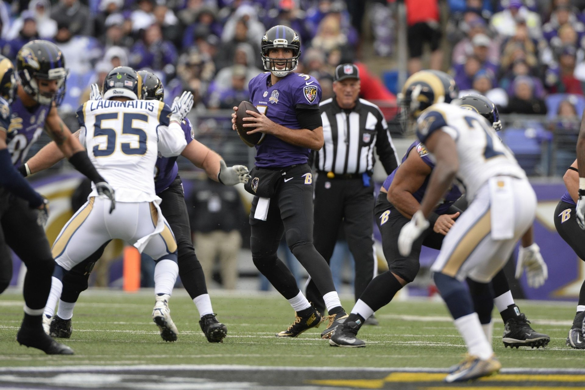 Download Baltimore Ravens Sports HD Wallpaper