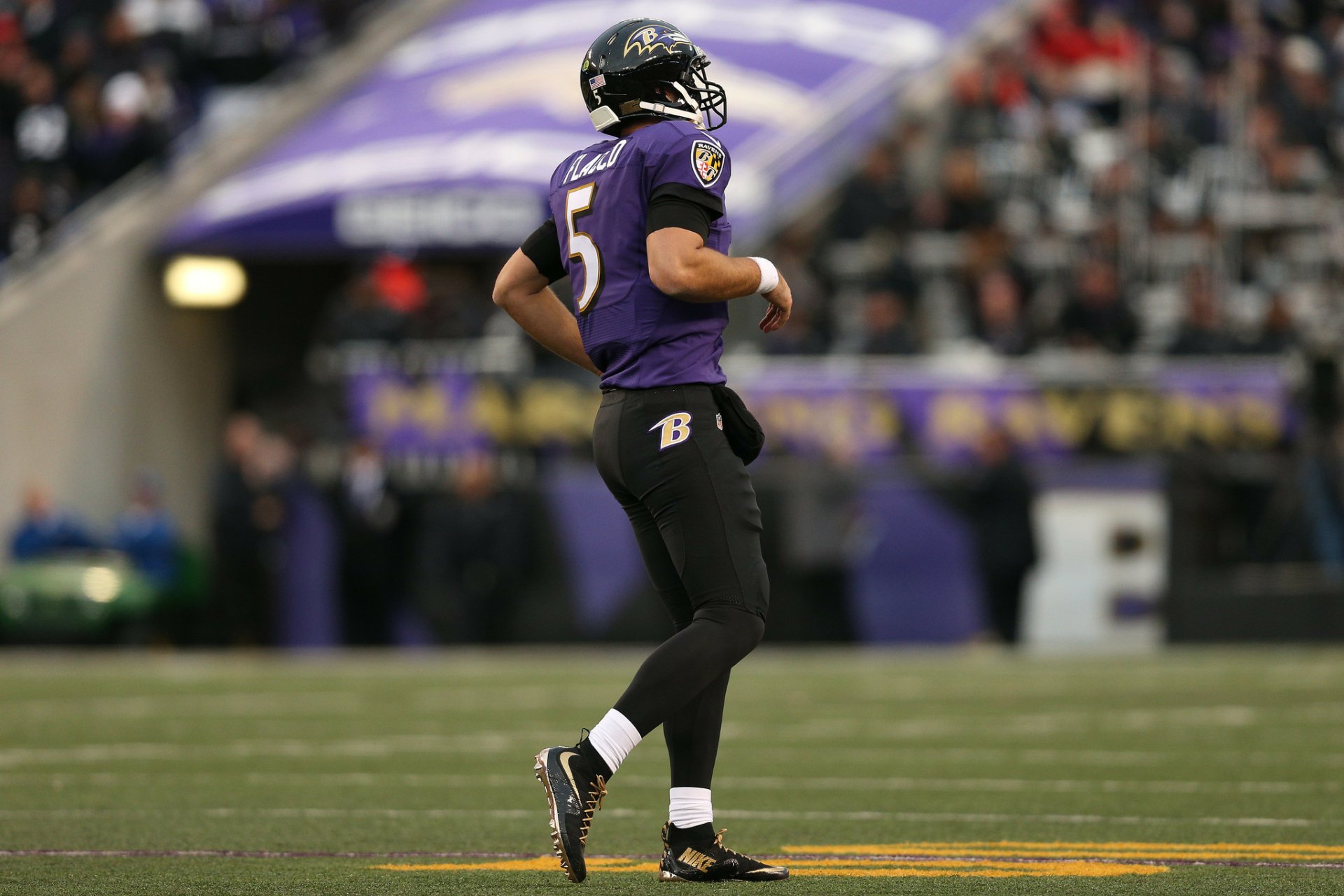 Download Baltimore Ravens Sports HD Wallpaper