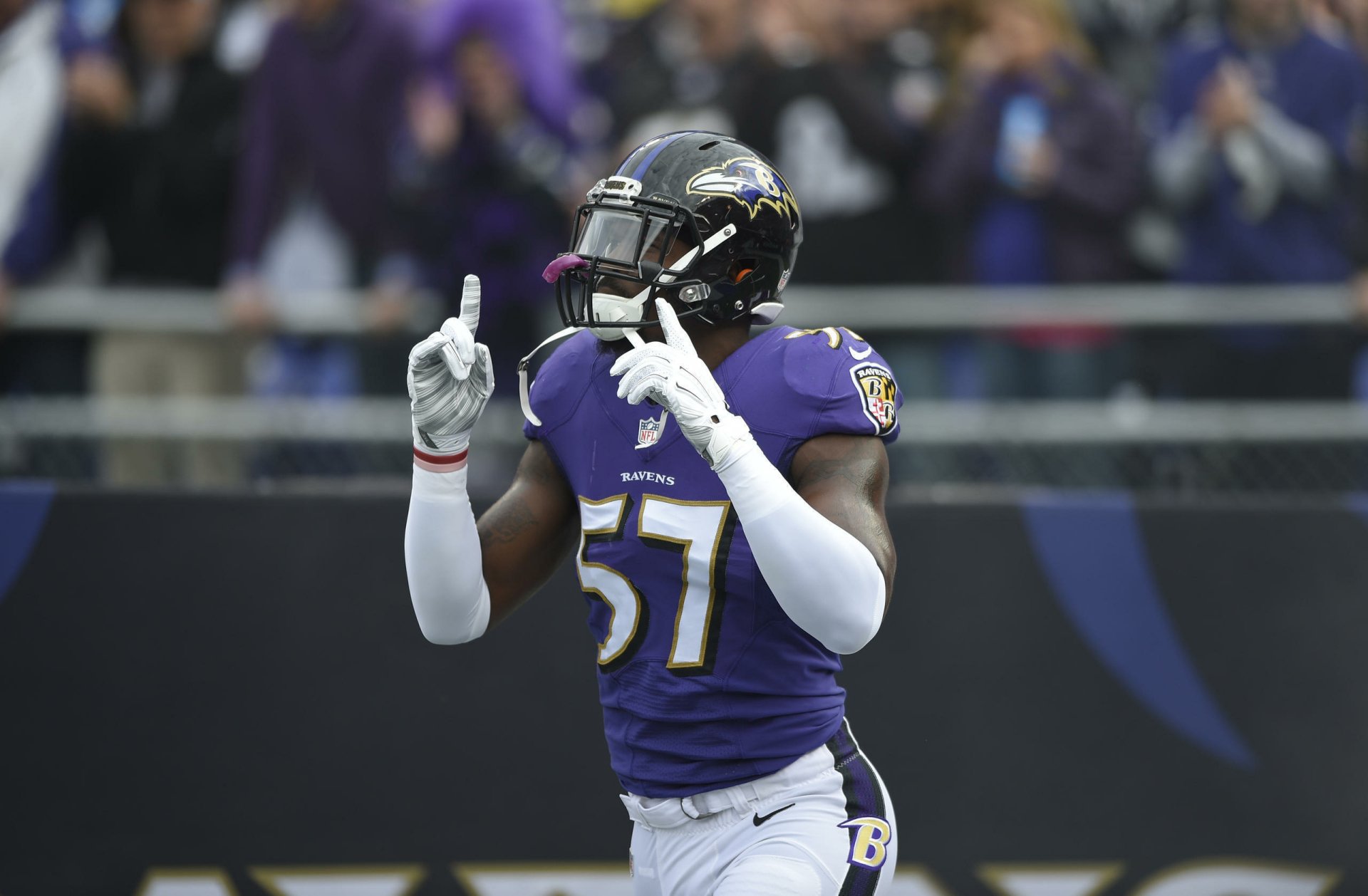 Download Baltimore Ravens Sports HD Wallpaper