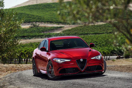 car Alfa Romeo vehicle Alfa Romeo Giulia HD Desktop Wallpaper | Background Image