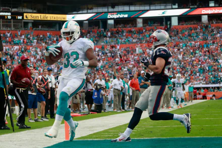 Miami Dolphins Sports HD Desktop Wallpaper | Background Image