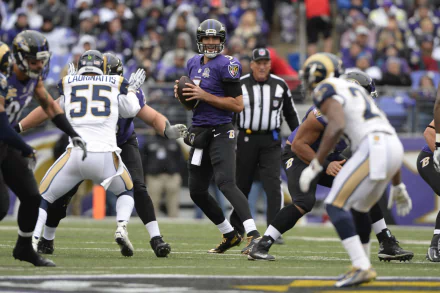 Baltimore Ravens Sports HD Desktop Wallpaper | Background Image