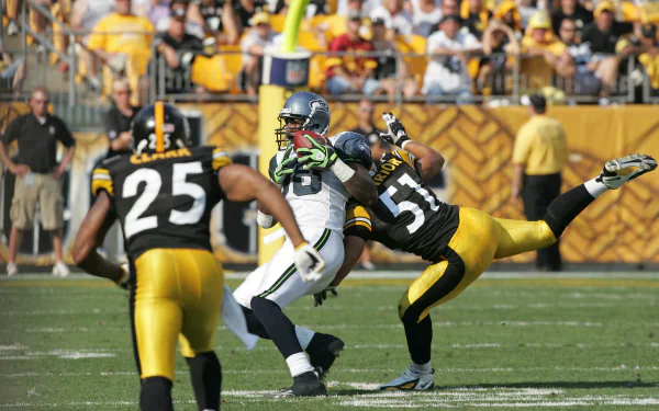 Pittsburgh Steelers Sports HD Desktop Wallpaper | Background Image