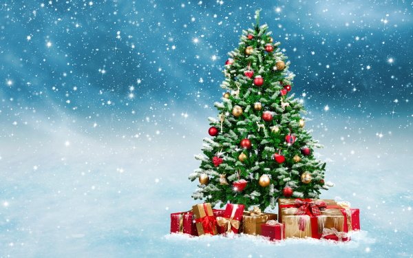 Holiday Christmas Christmas Tree Christmas Ornaments Gift Snow Winter HD Wallpaper | Background Image