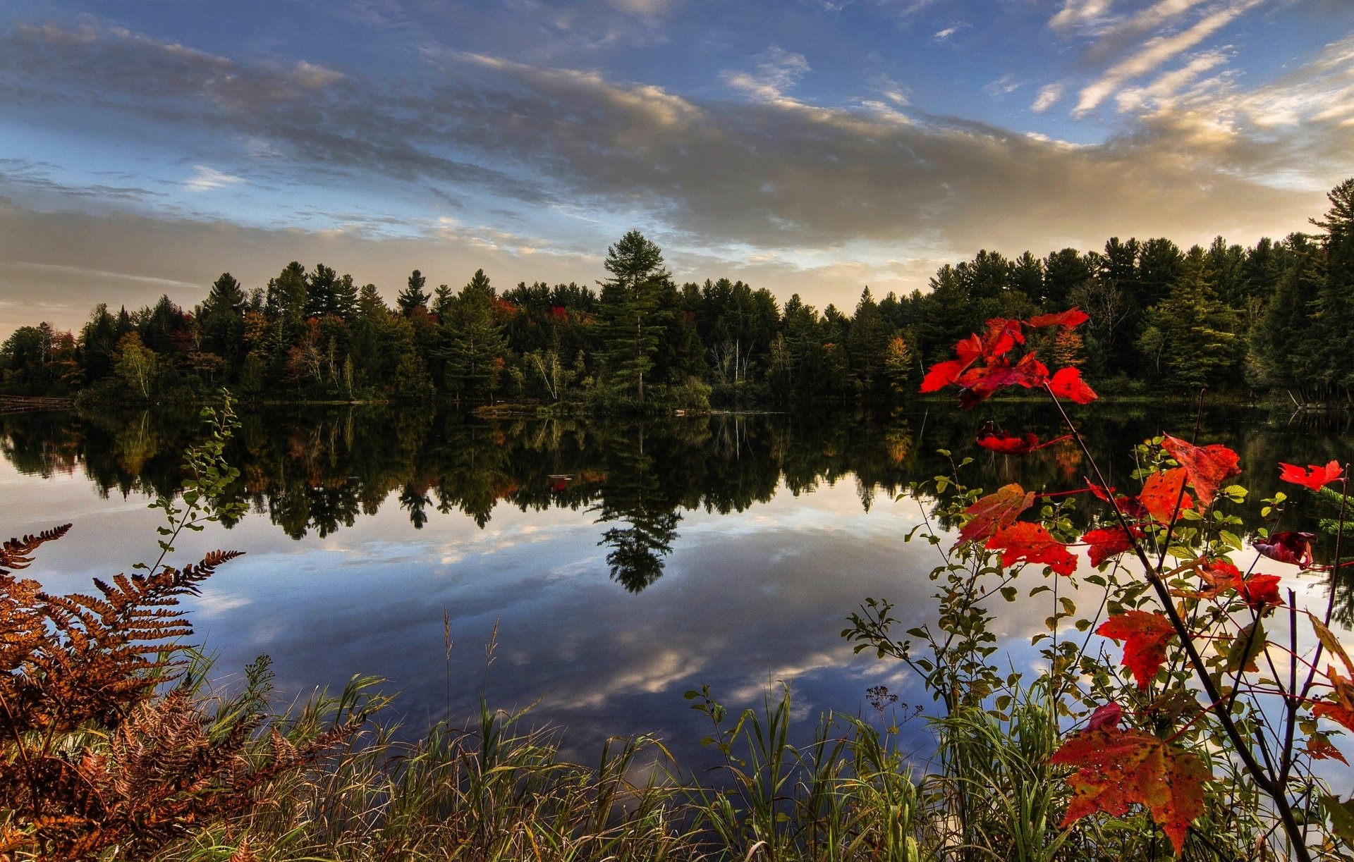 4K Ultra HD wallpaper capturing a serene lake with clear cloud reflections, lush green trees, and vibrant red plants along the water's edge in nature.