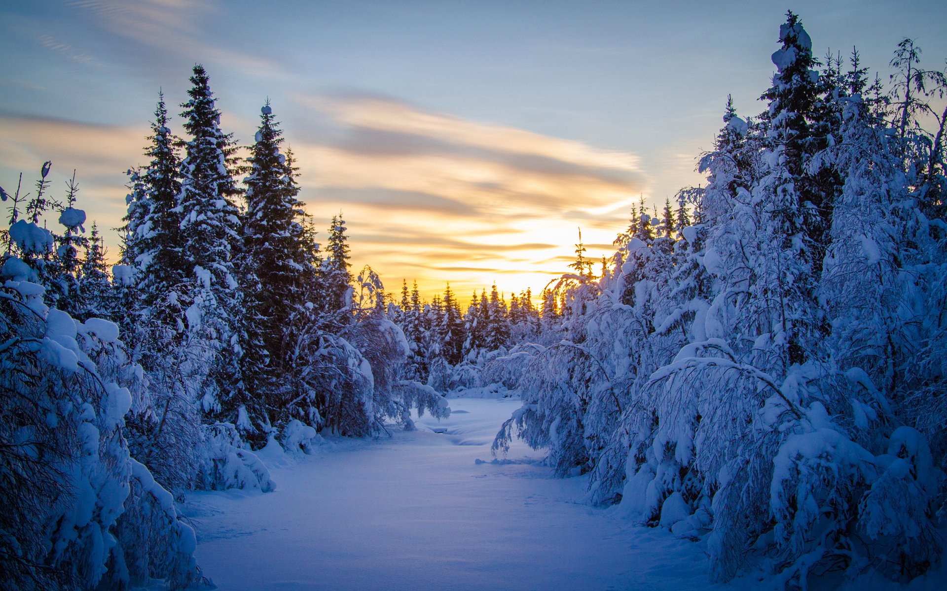 Download Snow Tree Nature Winter HD Wallpaper